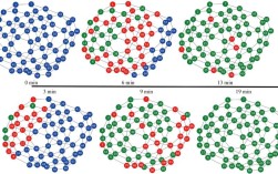 sirtuins家族研究进展，哪些突破将重塑疾病治疗？