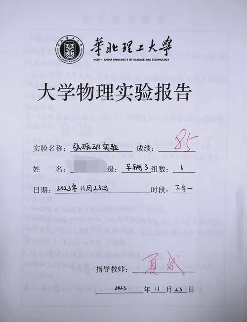 chinglish研究课题-图1