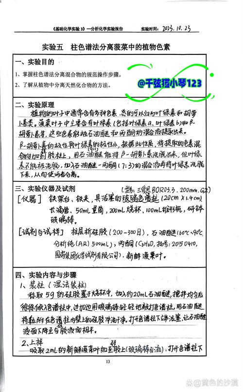 chinglish研究课题-图2