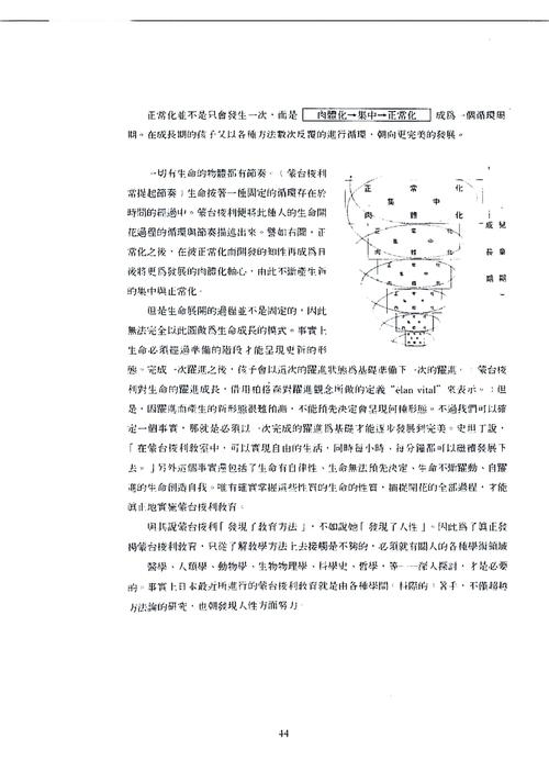 蒙氏数学教育策略如何助力儿童思维发展？-图3