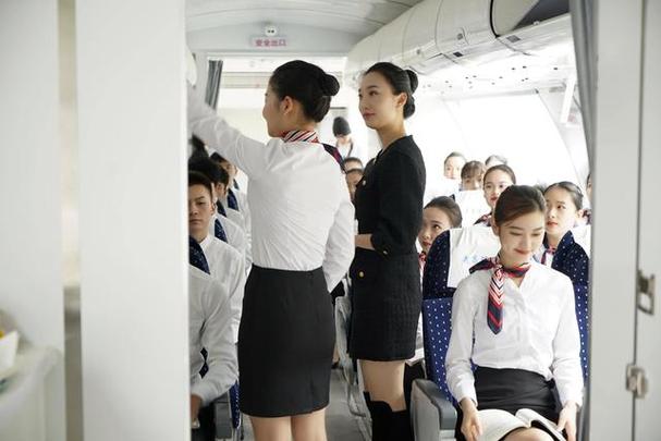 近三年空中乘务研究热点与趋势是什么？-图3